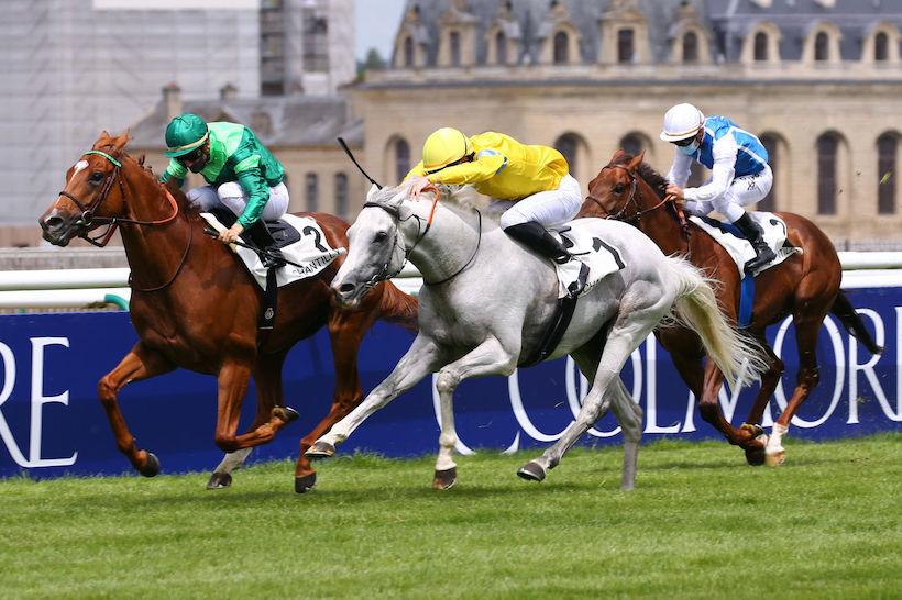 Gontaut-Biron Hong Kong Jockey Club Preview: Sottsass follows his plan