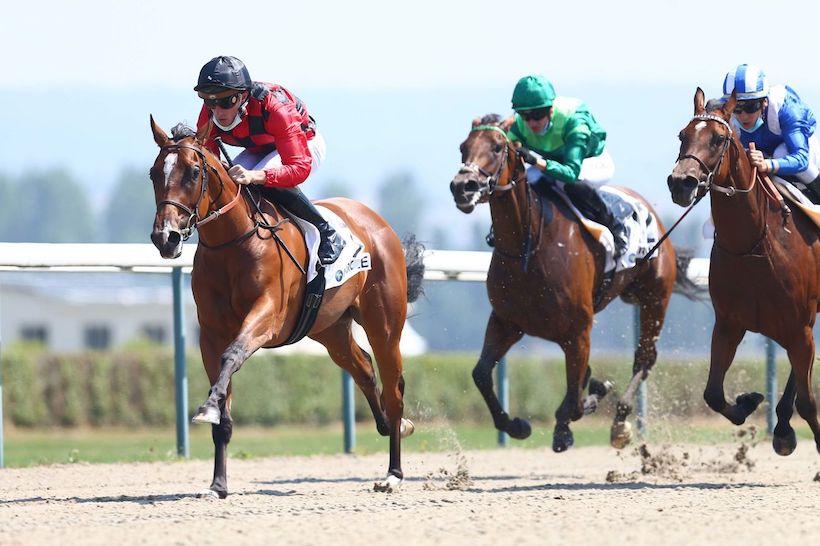 Shadwell Prix du Calvados : Quel génie sortira de cette (bonne) bouteille ? Shadwell Prix du Calvados : Quel génie sortira de cette (bonne) bouteille ?