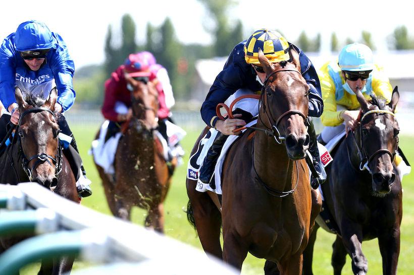 Prix Six Perfections Sky Sports Racing : See the Rose de mieux en mieux