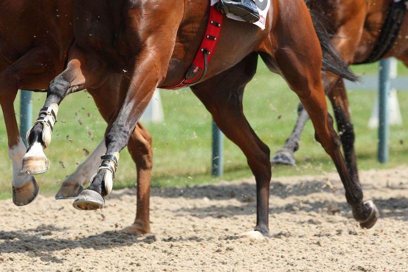 Les chronos partiels du mardi 18 août à Deauville