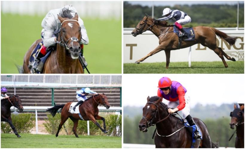 Prix du haras de Fresnay-le-Buffard Jacques Le Marois : Les champions sont là ! Prix du haras de Fresnay-le-Buffard Jacques Le Marois : Les champions sont là !