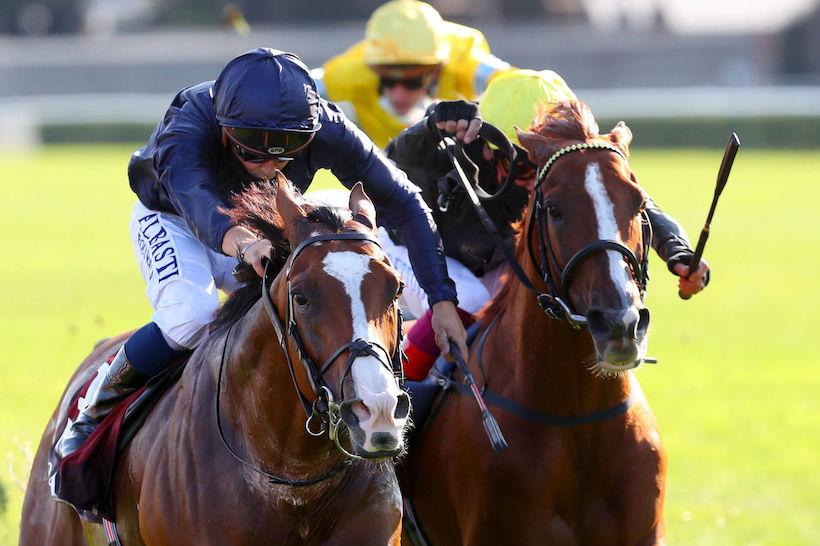 Qatar Prix Foy : Antony van Dyck tient bon Qatar Prix Foy : Antony van Dyck tient bon