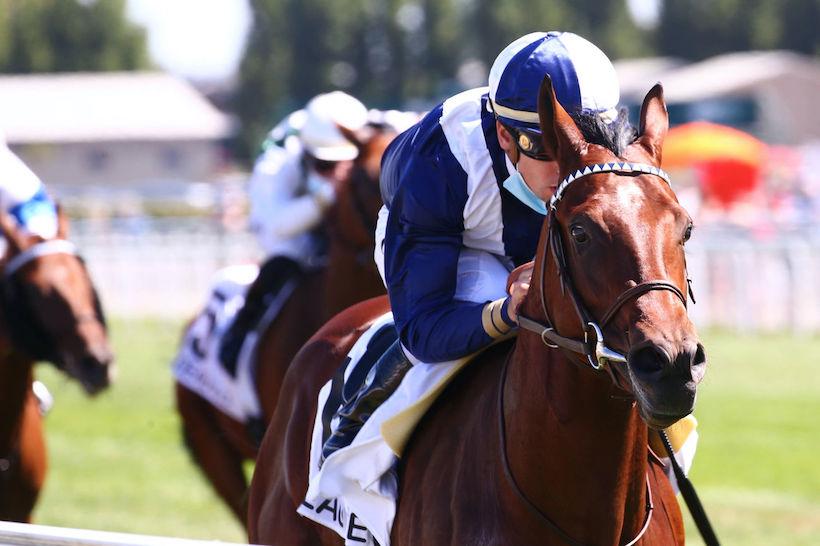 Prix des Chênes : Les quatre mousquetaires