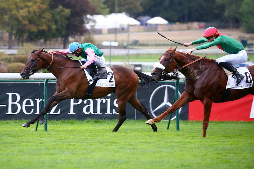 Prince d’Orange : Chachnak repousse Hurricane Dream