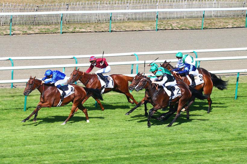 Tarragon Report: Fonthill Abbey's prayer answered