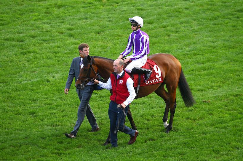 Qatar Arc Road: Magical ready to tackle Enable!