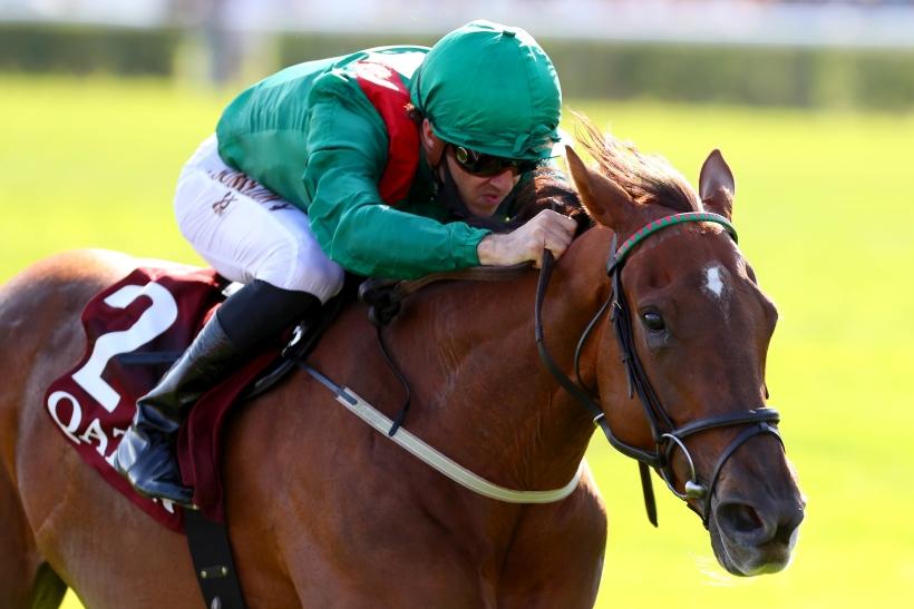 Qatar Arc Trials : Les chronos partiels du dimanche 13 septembre à ParisLongchamp