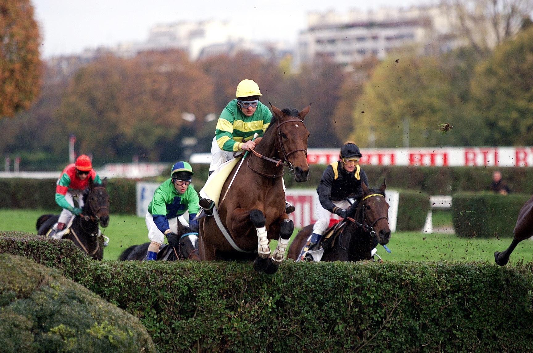 Al Capone II, cheval star de l’Hippodrome d’Auteuil, s’est éteint à l’âge de 32 ans
