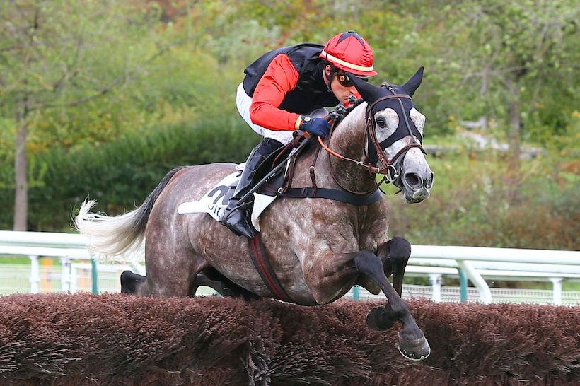 Orcada 4yo Chase History: Thinking about Maurice Orcada 4yo Chase History: Thinking about Maurice