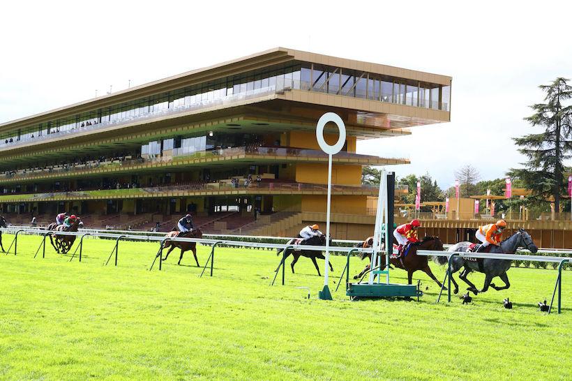 Qatar Dollar Report: Skalleti gets his ways Qatar Dollar Report: Skalleti gets his ways