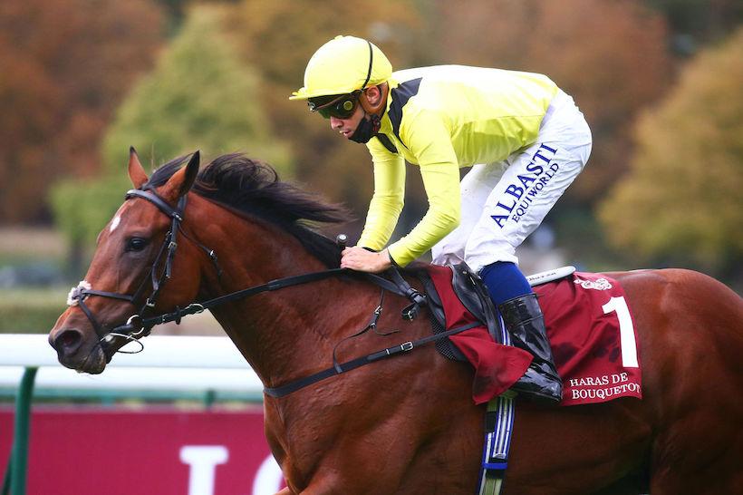 Critérium International : Jadoomi dans le grand bain Critérium International : Jadoomi dans le grand bain