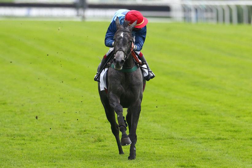 Haras d'Etreham Magne : Hotesse hausse le ton