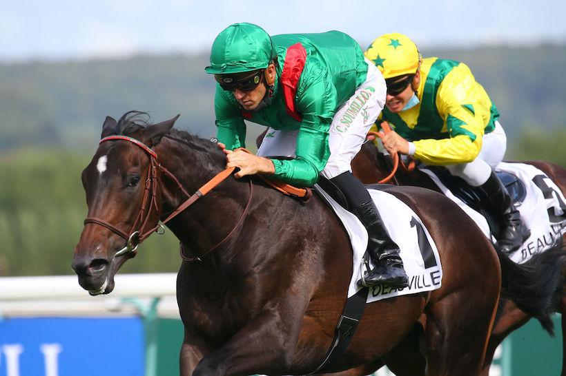 Critérium de Saint-Cloud : Makaloun challenges Tiger Tanaka