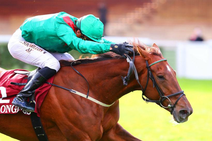 Opéra Longines: Tarnawa, toujours aussi brillante Opéra Longines: Tarnawa, toujours aussi brillante