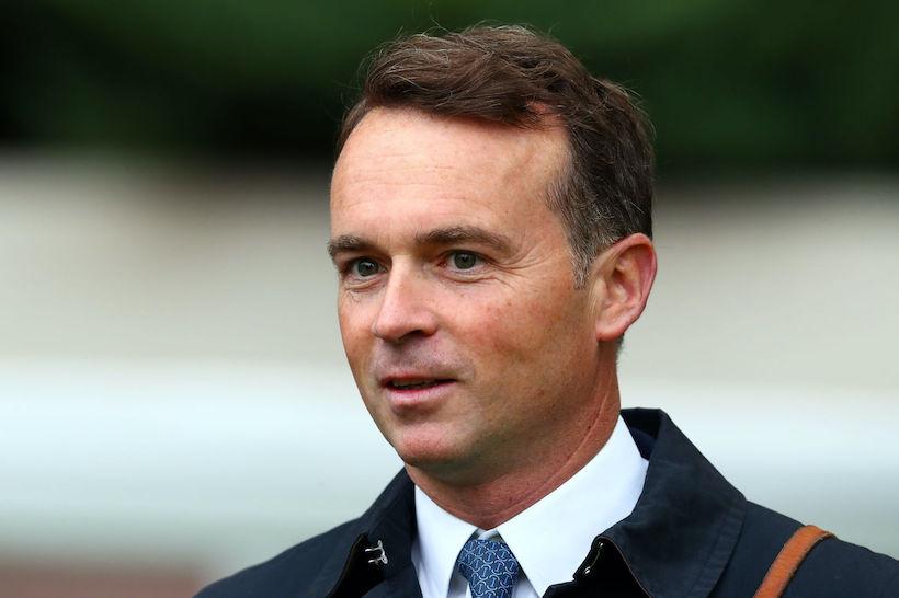 Francis Graffard: « In Swoop is still improving »