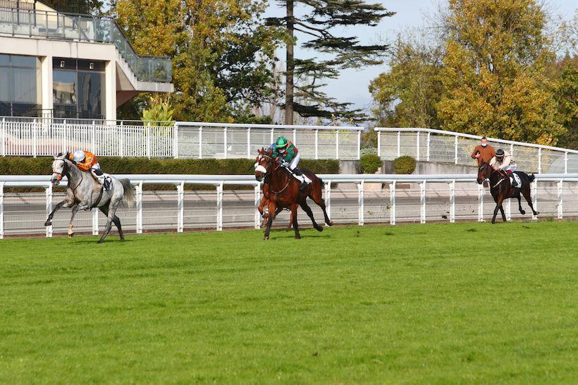 Carmarthen : Paul's Saga prend du poids, et ça lui va ! Carmarthen : Paul's Saga prend du poids, et ça lui va !