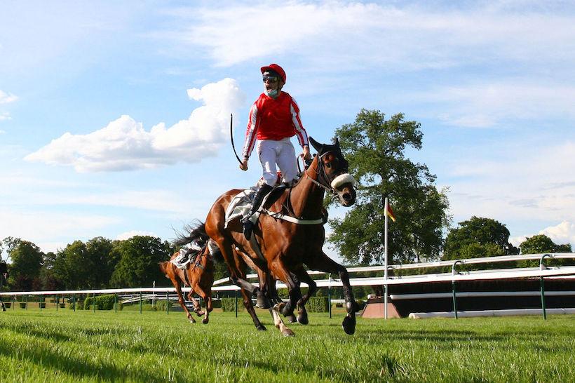 Morgex 4yo Chase: Gardons Le Sourire for the last laugh