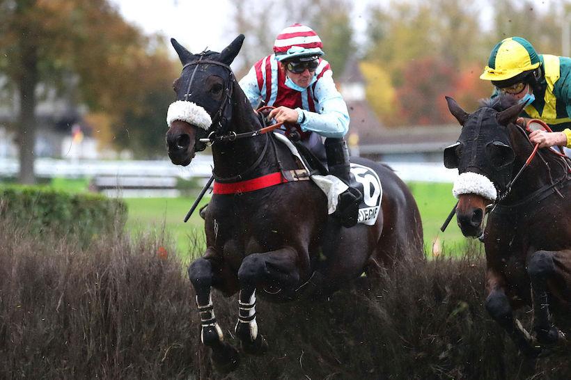 Grand Steeple de Compiègne Report: Matfog all clear
