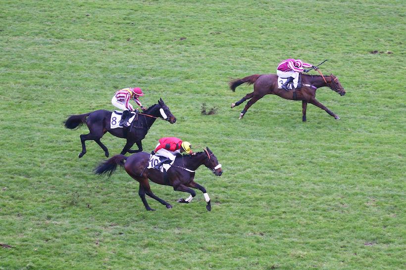 Prix La Haye Jousselin : Docteur de Ballon sprinte vers l’histoire Prix La Haye Jousselin : Docteur de Ballon sprinte vers l’histoire