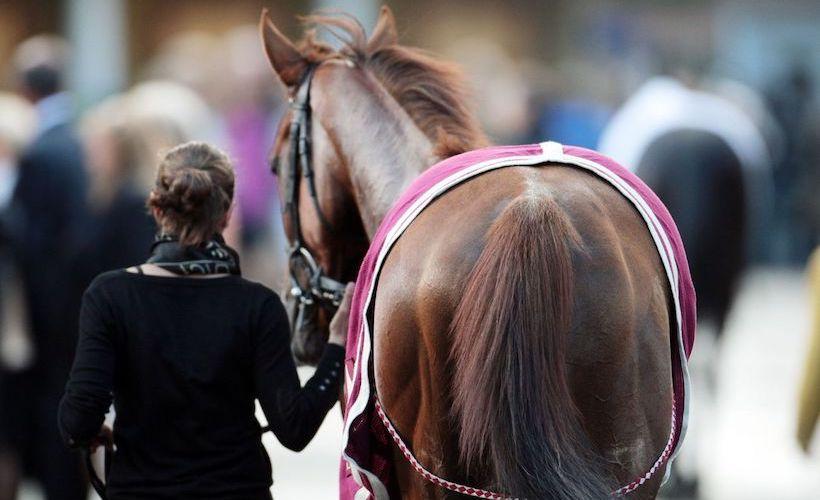 Lancement d’un partenariat global pour connecter le monde, à la filière des chevaux de course