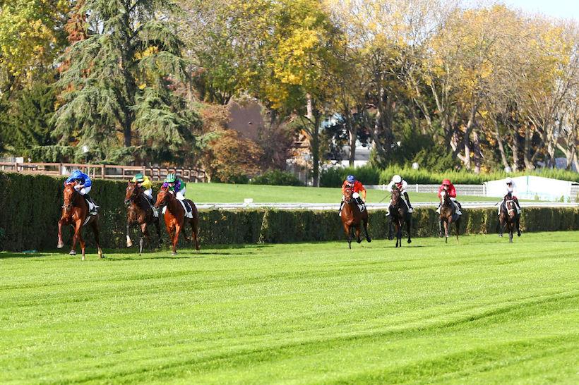 Les gagnants de maiden de novembre 2020