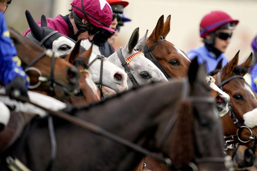 Le Festival, by le FRBC - Friday