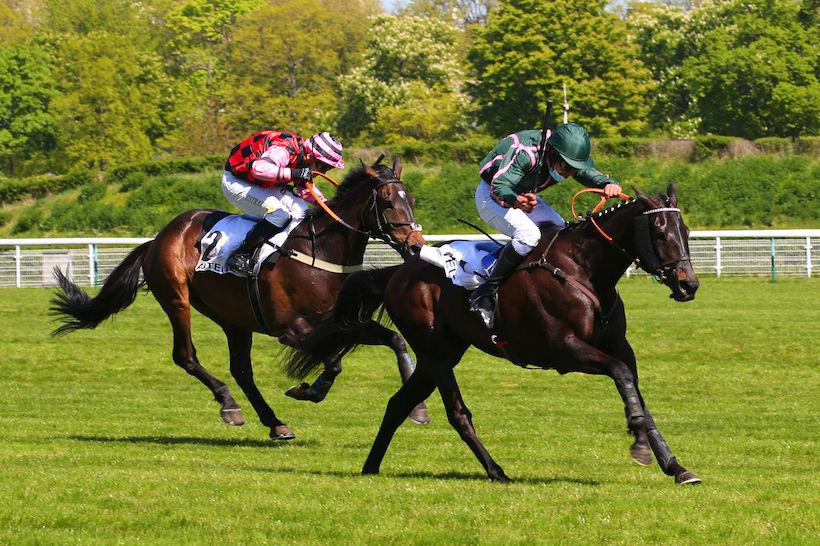Président de la République Handicap Chase: Fanfaron finally looks special Président de la République Handicap Chase: Fanfaron finally looks special
