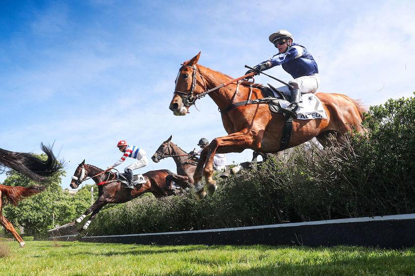 Jean Stern 4yo Chase: Harvest time for Le Listrac