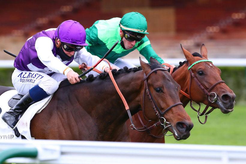 Noailles : Cheshire Academy a le tout dernier mot Noailles : Cheshire Academy a le tout dernier mot