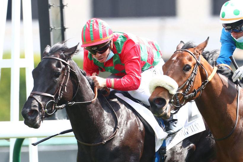 Grotte: Cirona in broad daylight Grotte: Cirona in broad daylight