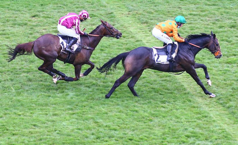 Murat : Ajas confirme, Docteur convainc Murat : Ajas confirme, Docteur convainc