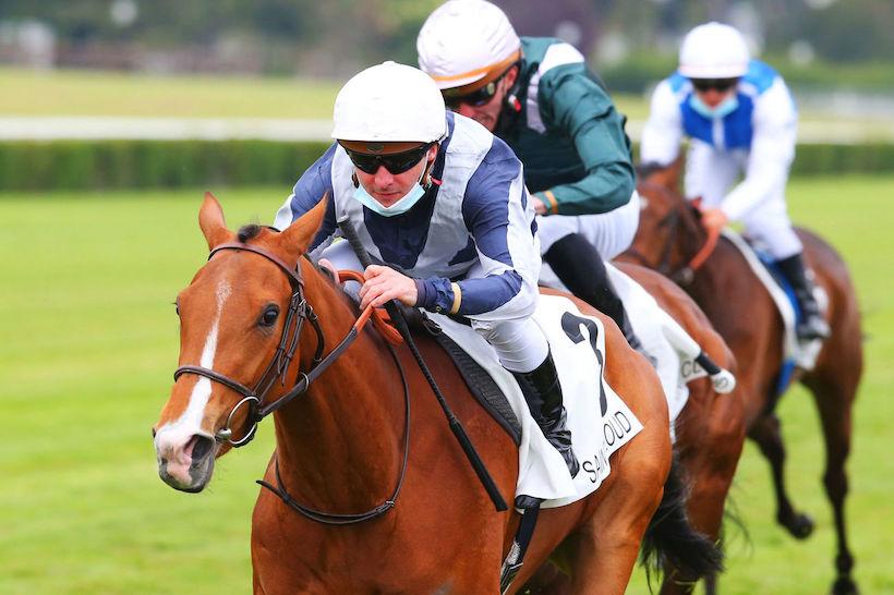 Harajuku remporte le Prix Cléopâtre