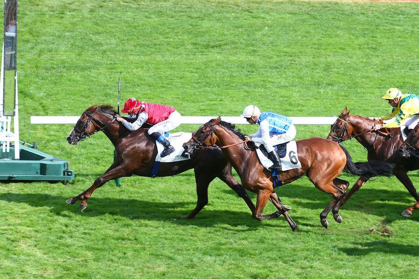 Coupe de Maisons-Laffitte 21 Dawn Intello