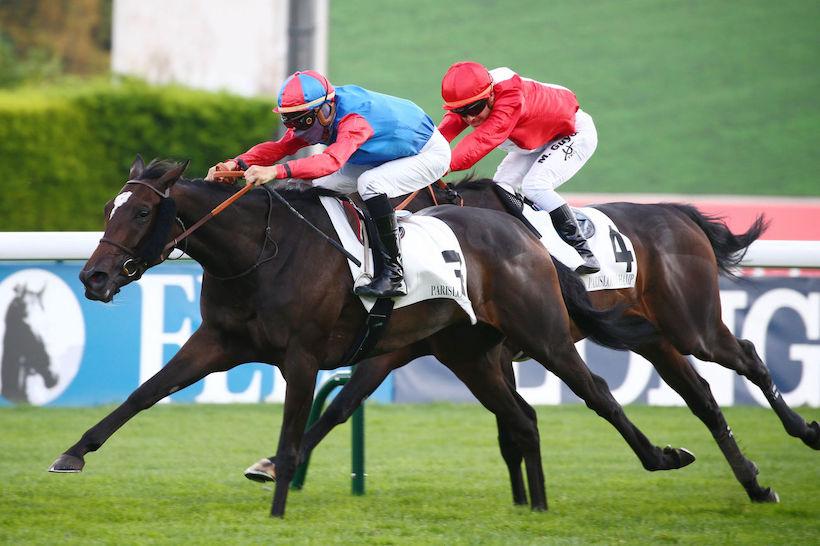 Gladiateur 21 Bubble Smart