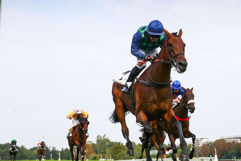 Maisons-Laffitte 21 Hermès Baie