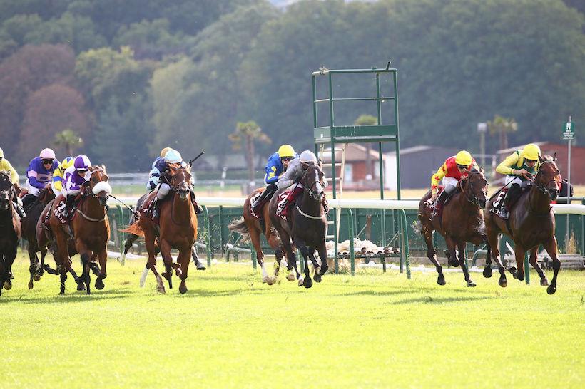 Petit Couvert 21 Berneuil