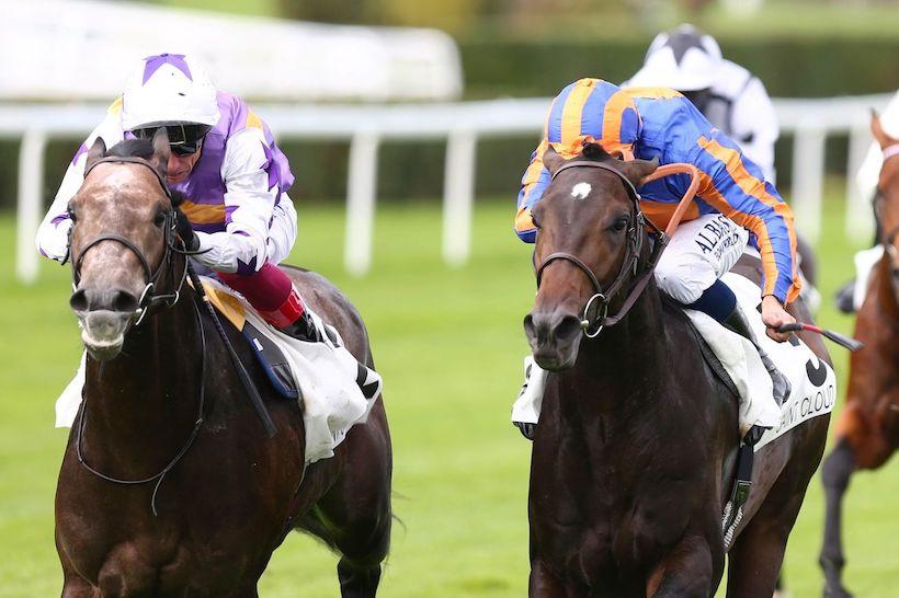 Criterium Continental 21 Angel Bleu