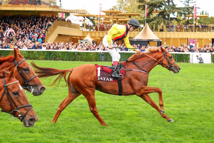 Arc 21 Torquator Tasso