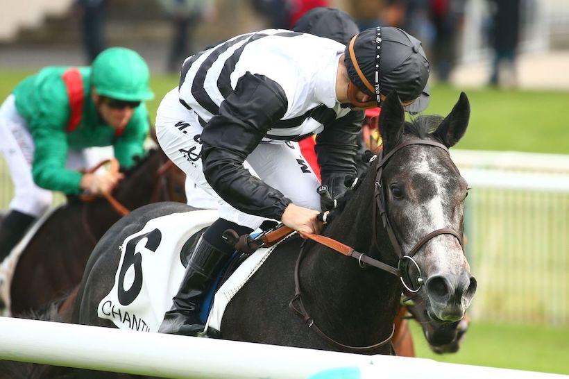 Miesque 21 Mangoustine