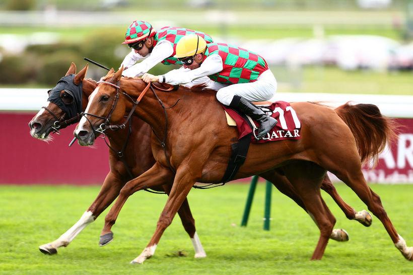 Qatar Arabian Trophy Juments 21 Teema