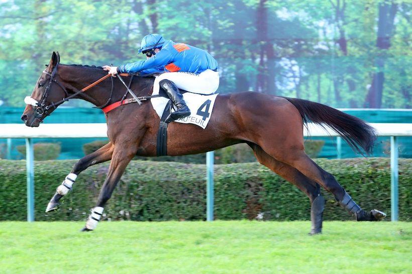 Renaud du Vivier 21 Theleme