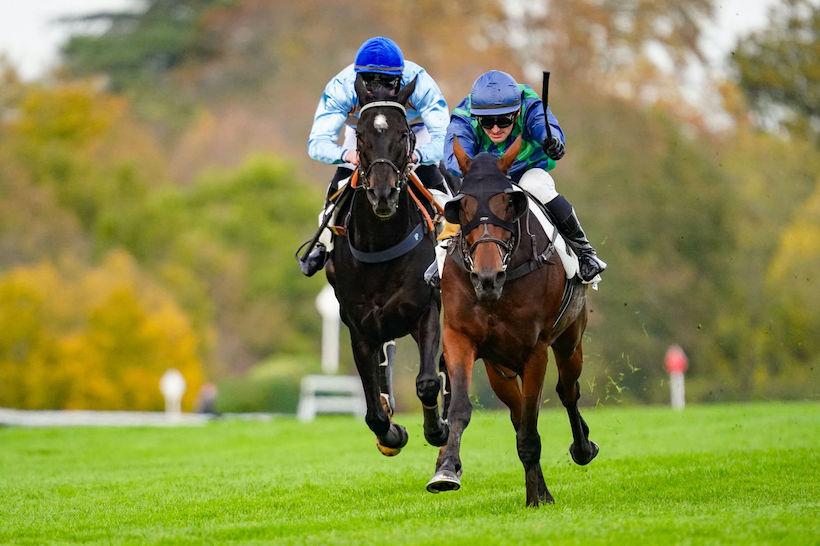 La Haye Jousselin 21 Poly Grandchamp