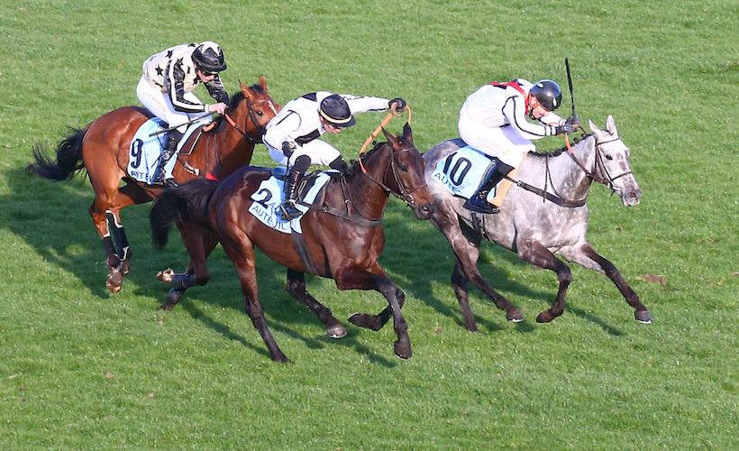 Robert de Clermont-Tonnerre Chase (Gr3) finish, as Happy Monarch leads home his stablemate Scarlet du Mesnil for the Devin family, on February 28th, 2022, at Auteuil racecourse in Paris.