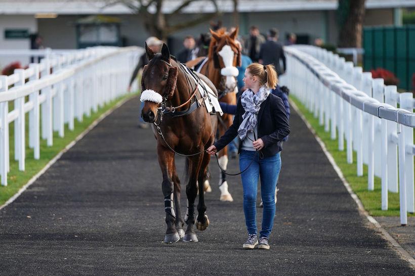 Partants à Pau