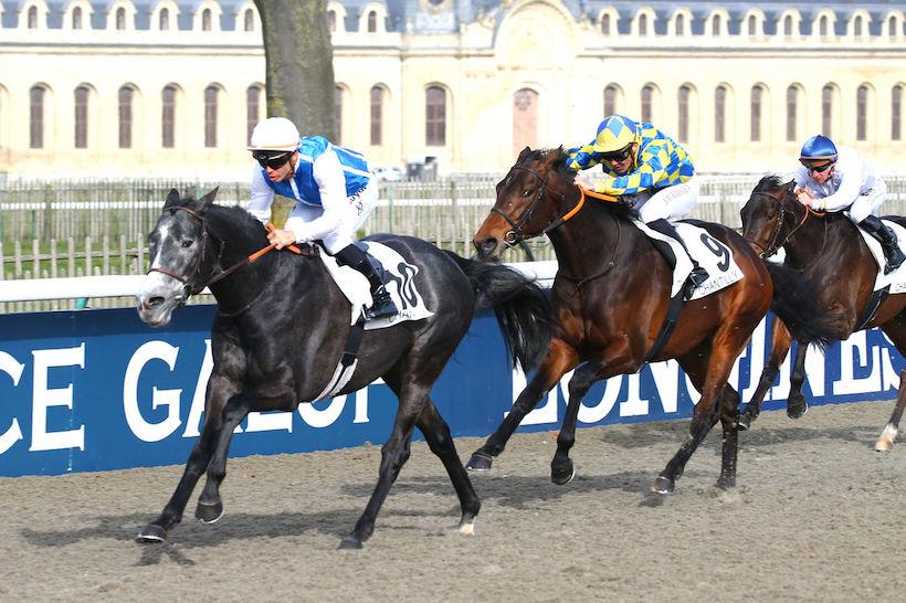 Moneyman s'impose pour ses débuts le mardi 1er mars 2022 sur l'hippodrome de Chantilly sous la monte de Maxime Guyon pour l'écurie Wertheimer & Frère.