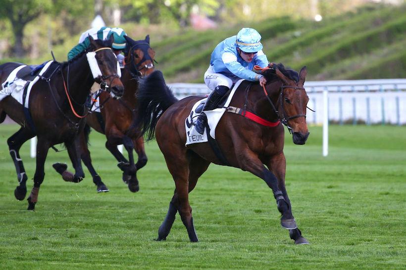 Road Mix Tavel et Dylan Salmon remportent l'édition 2022 du Prix du Président de la République (Gr3), handicap de renom disputé sur le steeple-chase de l'hippodrome d'Auteuil, à Paris.