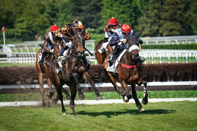 Hawai du Berlais et Pierre Dubourg (toque rouge) vont dominer West End Girl et Lucas Zuliani (orange et noir) à l'arrivée du Prix Amadou (Gr2), le samedi 30 avril 2022 sur l'hippodrome d'Auteuil, à Paris.