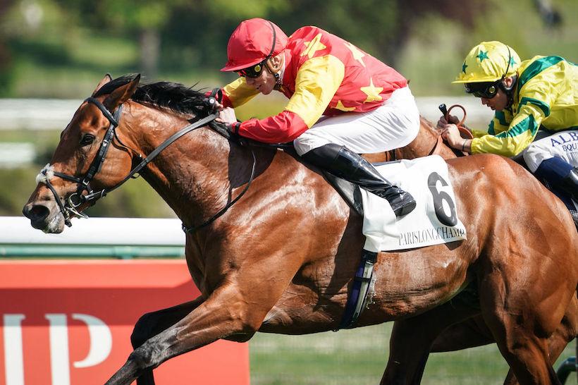 State of Rest et Shane Michael Crosse en route vers leur victoire dans le Prix Ganay (Gr1), le dimanche 1er mai 2022 sur l'hippodrome ParisLongchamp, à Paris.
