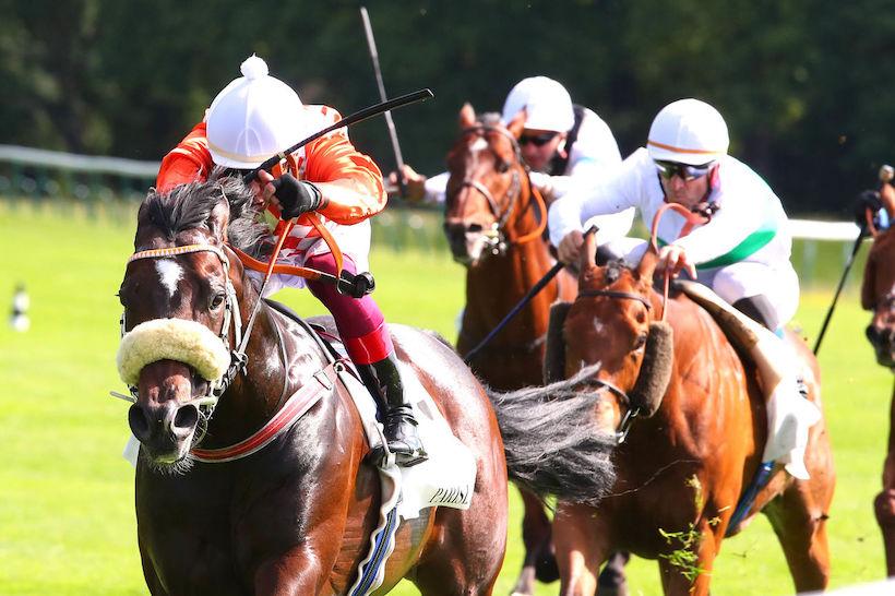 Ponntos saint Georges (Gr3) 15 mai 22 à ParisLongchamp