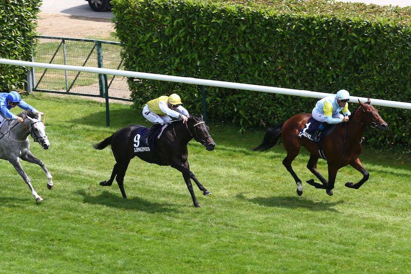 Bois 2022 Belbek chantilly